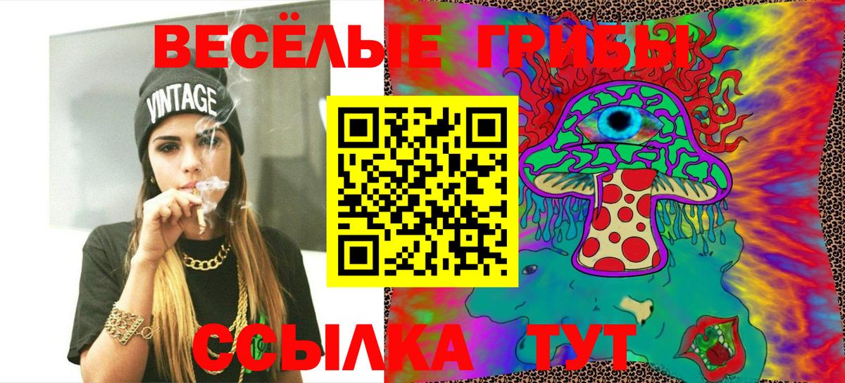 Псилоцибиновые грибы мухоморы Бор