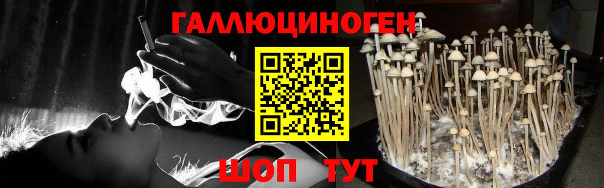 Бор  Галлюциногенные грибы мухоморы  Вход с VPN 